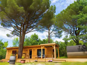La Cabane à Papi