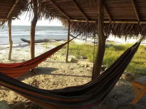Urantia Beach Hostel & Camping