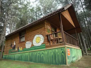 ÇAMPINARI DOĞA EVLERİ & Restaurant
