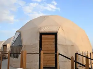 Adel Rum Camp