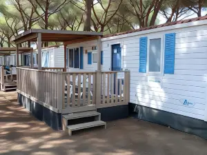 Happy Camp Mobile Homes in Camping Golden Sunset