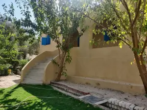 Haneen Field View
