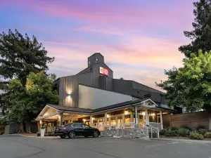 เบสท์เวสเทิร์นพลัสอินน์ แอทเดอะไวน์ส