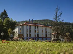 Hotel Balneario Areatza Nº 01224