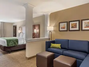 Comfort Inn & Suites Schenectady - Scotia