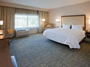 Hampton Inn Spicer Green Lake