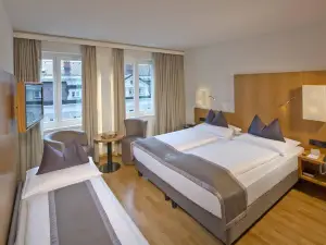 Hotel Maximilian - Stadthaus Penz