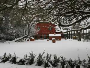 Tenuta Agricola Fonte di Papa