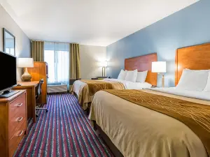 Comfort Inn Alton near I-255