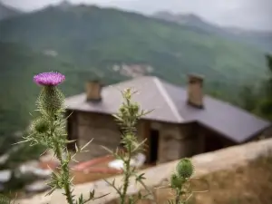 Radika View House