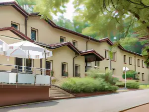 Hotel Aster - Creutzwald