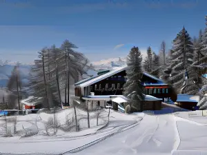 Biohotel Grafenast
