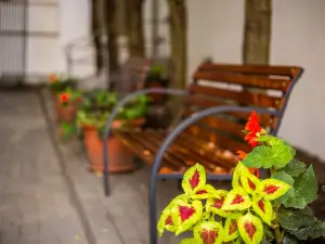 Ringhotel Altstadt
