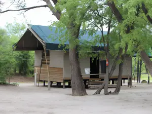 Acacia Camp