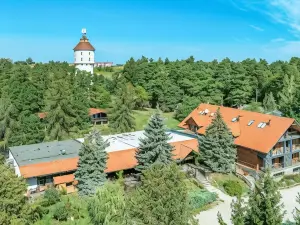 Róża Wiatrów