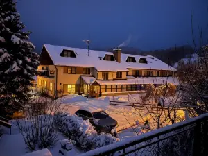 Hotel STARÝ MLÝN