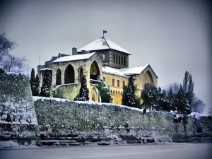 Siraly Panzio Topart