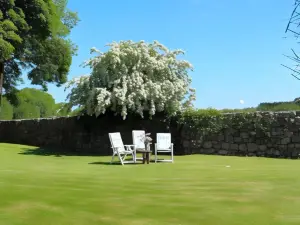 Moynure House Boutique B&B & Separate Two Bedroom Chalet
