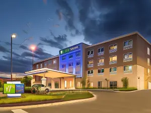 Holiday Inn Express & Suites Tampa North - Wesley Chapel