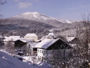 Pension Wiesenau