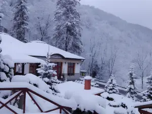 Hotel Tókert Szálloda és Étterem