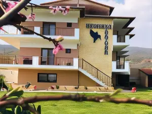 Guesthouse Alkioni