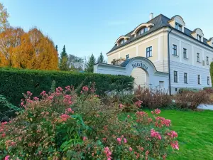 Hotel Villa Nečas Žilina