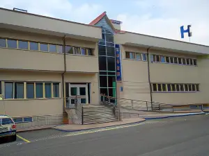 Hotel Palacio de Asturias