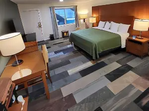 Shelton Inn