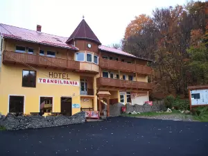 Vila Transilvania