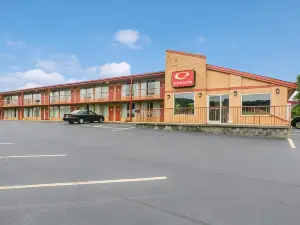 이코노 로지 매리언