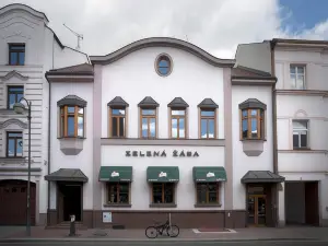 Penzion Zelena Zaba