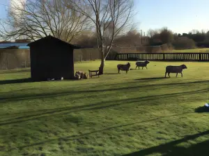 The Barn Bed and Breakfast