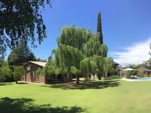 Alto Chacras Cottage
