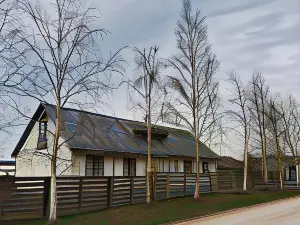 Jūras sāga