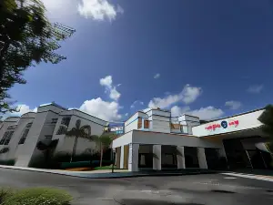 Oasis Bay Suites, Tampa, Busch Gardens, USF