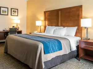 凱富飯店（Comfort Inn Apalachin Binghamton W Route 17）
