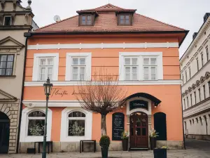 Penzion Tlusta kachna