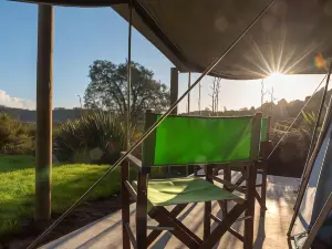 Russell-Orongo Bay Holiday Park