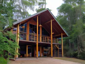 The Canopy Rainforest Treehouses & Wildlife Sanctuary