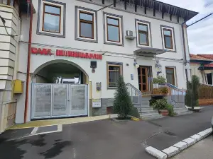 Casa Musceleana