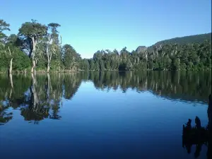 Refugio Las Raices