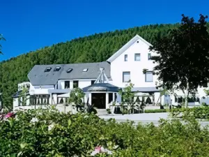 Hotel-Restaurant-Cafe Schweinsberg