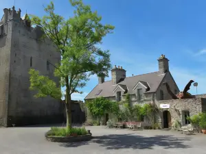 Claregalway Castle