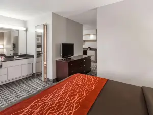 Wingate by Wyndham Canton/Hall of Fame