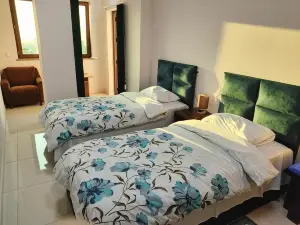 Apex Rest House of 10 Rooms and Pool