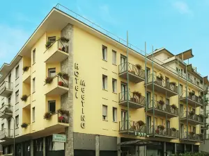 호텔 미팅 스트레사