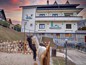 Chalet Jolie Luxury Vila Sinaia