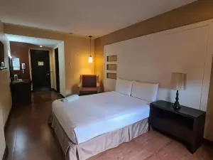Hotel Maiya