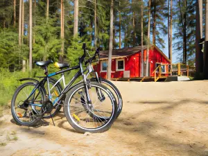 Greenvald Park Skandinaviya Hotel
